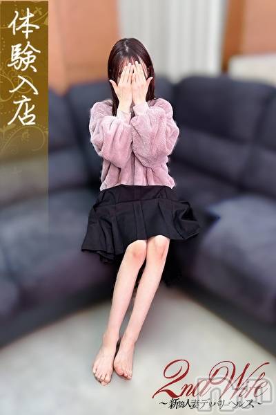 新潟デリヘル(セカンドワイフ)の2026年1月29日お店速報「新人奥様が続々入店中です☆反則級の可愛さ！！ 【みゆ】さん本日初出勤！」