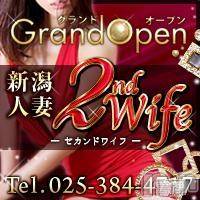 新潟人妻デリヘル 新潟人妻　2nd Wife(セカンドワイフ)の11月12日お店速報「2ndwife☆無料op付７０分１１０００円～！」