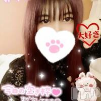 新潟人妻デリヘル 新潟人妻　2nd Wife(セカンドワイフ)の11月13日お店速報「注目新人2名スタイル抜群いおり奥様おっぱい人気あゆみ奥様]」