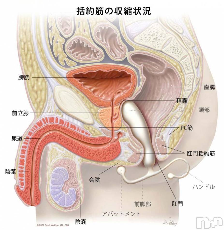 松本発SM(コインダムール-マツモトシハツ)の2018年7月31日お店速報「アネロスの新型トライデント販売開始！ところで、アネロスを知ってますか？」