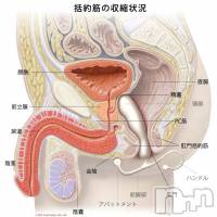松本発SM coin d amour-松本市発(コインダムール-マツモトシハツ)の7月31日お店速報「アネロスの新型トライデント販売開始！ところで、アネロスを知ってますか？」