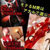 松本発SM coin d amour-松本市発(コインダムール-マツモトシハツ)の3月31日お店速報「弥生お姉様ホントに最後の一枠！！平日限定ホテル割もあります♪」