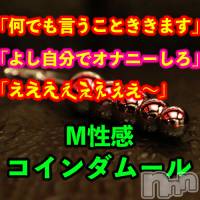松本発SM coin d amour(コインダムール)の10月31日お店速報「今後の空き情報～、と年末に向けての所感」