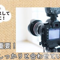 （松本市発）コインダムール フォトギャラリー画像3