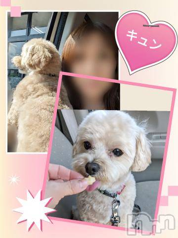 長岡人妻デリヘルBIANCA～主人の知らない私～長岡店(ビアンカナガオカテン) 川上　ひろこ(48)の6月11日写メブログ「今日も終わっちゃう☺♥」