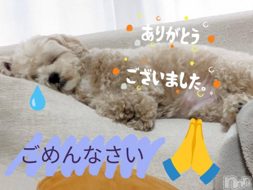 長岡人妻デリヘルBIANCA～主人の知らない私～長岡店(ビアンカナガオカテン) 川上　ひろこ(48)の11月8日写メブログ「感謝です🌷✨(*´ω`*)♥」