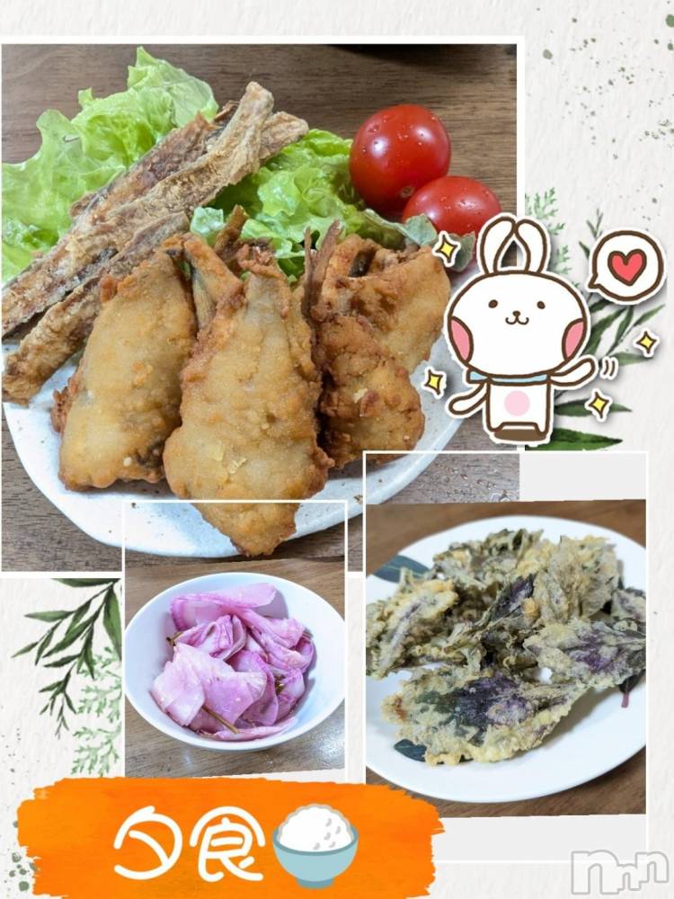 長岡人妻デリヘルBIANCA～主人の知らない私～長岡店(ビアンカナガオカテン) 川上　ひろこ(48)の12月4日写メブログ「料理人～♥️☺️💨」