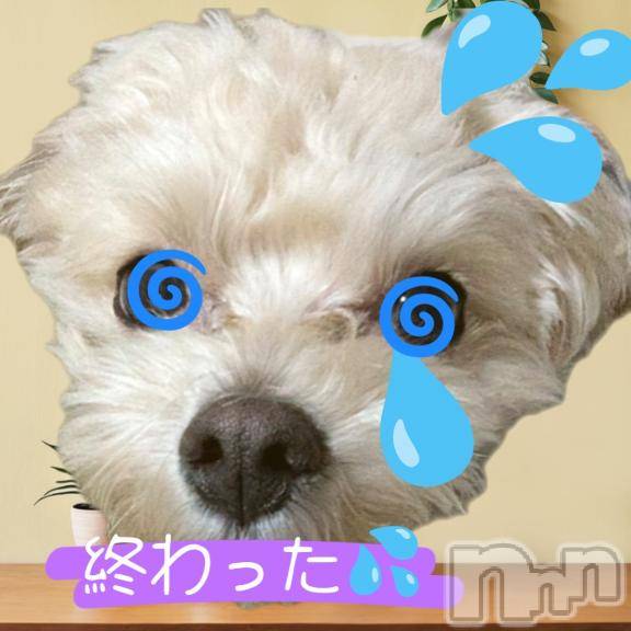 長岡デリヘルBIANCA～主人の知らない私～長岡店(ビアンカナガオカテン) 川上　ひろこ(48)の2月24日写メブログ「目も💥頭も💥首がぁ～(＠_＠;)💦🌀」