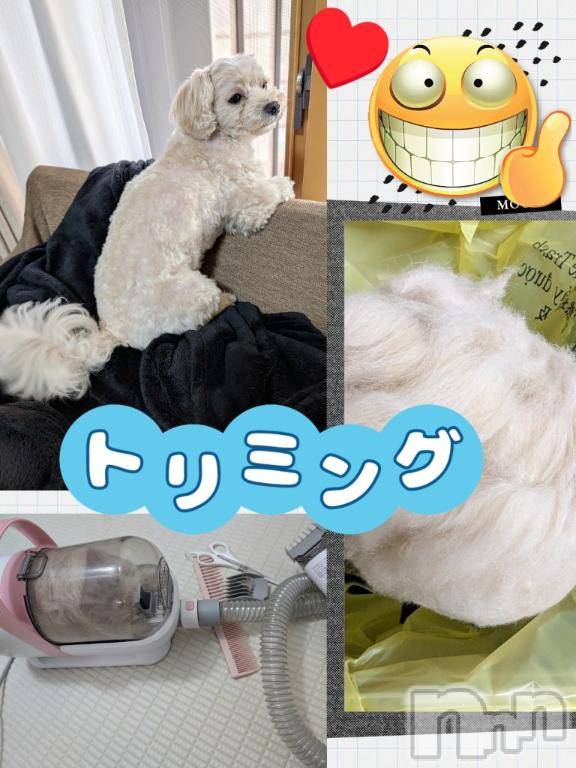 長岡人妻デリヘルBIANCA～主人の知らない私～長岡店(ビアンカナガオカテン) 川上　ひろこ(48)の5月21日写メブログ「さっぱりよ～＼(^o^)／✨💞」