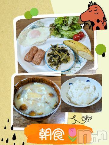 長岡デリヘルBIANCA～主人の知らない私～長岡店(ビアンカナガオカテン)川上　ひろこ(48)の2024年5月22日写メブログ「おはよ☀(*^^*)💞」