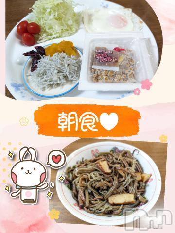 長岡デリヘルBIANCA～主人の知らない私～長岡店(ビアンカナガオカテン)川上　ひろこ(48)の2024年6月4日写メブログ「おはよ🌷(*´ω`*)✨」