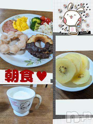 長岡デリヘルBIANCA～主人の知らない私～長岡店(ビアンカナガオカテン)川上　ひろこ(48)の2024年6月8日写メブログ「おはよ🌸(*^^*)♥」