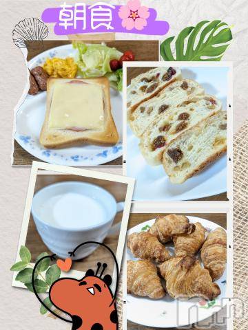 長岡デリヘルBIANCA～主人の知らない私～長岡店(ビアンカナガオカテン)川上　ひろこ(48)の2024年6月16日写メブログ「おはよ～✨(^o^)🌸」