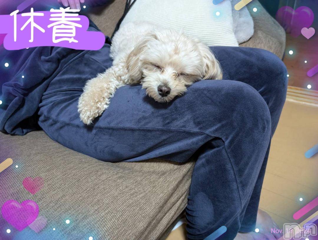 長岡デリヘルBIANCA～主人の知らない私～長岡店(ビアンカナガオカテン)川上　ひろこ(48)の2024年11月18日写メブログ「おはようさんです。☺️✨💐」