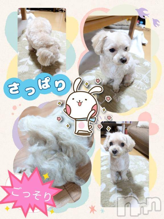 長岡デリヘルBIANCA～主人の知らない私～長岡店(ビアンカナガオカテン)川上　ひろこ(48)の2024年12月27日写メブログ「腰がぁ～(＠_＠;)💦💥」