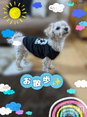 長岡デリヘルBIANCA～主人の知らない私～長岡店(ビアンカナガオカテン) 川上　ひろこ(48)の2月15日写メブログ「ぽかぽか☀️＼(^o^)／💞」