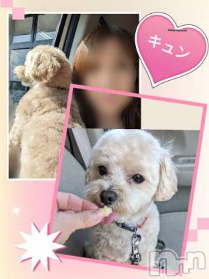 長岡デリヘル BIANCA～主人の知らない私～長岡店(ビアンカナガオカテン) 川上　ひろこ(48)の6月11日写メブログ「今日も終わっちゃう☺♥」