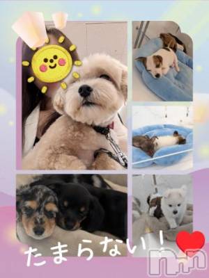 長岡デリヘル BIANCA～主人の知らない私～長岡店(ビアンカナガオカテン) 川上　ひろこ(48)の8月9日写メブログ「う～！❤(ӦｖӦ｡)」