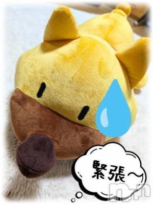 長岡デリヘル BIANCA～主人の知らない私～長岡店(ビアンカナガオカテン) 川上　ひろこ(48)の8月12日写メブログ「わくわく💕ドキドキ💦」