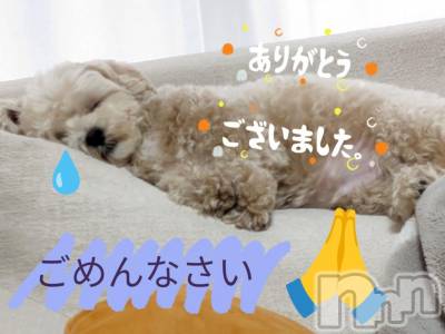 長岡デリヘル BIANCA～主人の知らない私～長岡店(ビアンカナガオカテン) 川上　ひろこ(48)の11月8日写メブログ「感謝です🌷✨(*´ω`*)♥」