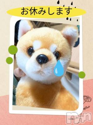 長岡デリヘル BIANCA～主人の知らない私～長岡店(ビアンカナガオカテン) 川上　ひろこ(48)の2月5日写メブログ「すみません😢💦」