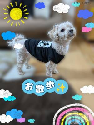 長岡デリヘル BIANCA～主人の知らない私～長岡店(ビアンカナガオカテン) 川上　ひろこ(48)の2月15日写メブログ「ぽかぽか☀️＼(^o^)／💞」