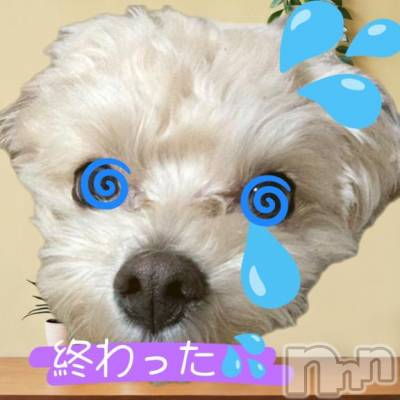 長岡デリヘル BIANCA～主人の知らない私～長岡店(ビアンカナガオカテン) 川上　ひろこ(48)の2月24日写メブログ「目も💥頭も💥首がぁ～(＠_＠;)💦🌀」