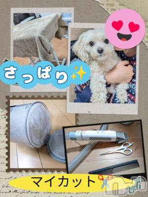 長岡デリヘル BIANCA～主人の知らない私～長岡店(ビアンカナガオカテン) 川上　ひろこ(48)の3月8日写メブログ「フル活動💨終了♥️✨☺️」