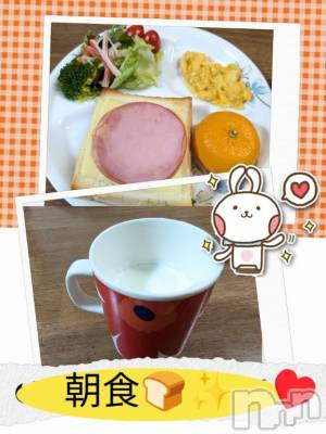 長岡デリヘル BIANCA～主人の知らない私～長岡店(ビアンカナガオカテン) 川上　ひろこ(48)の3月9日写メブログ「おはよ✨☺️💞」