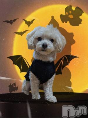 長岡デリヘル BIANCA～主人の知らない私～長岡店(ビアンカナガオカテン) 川上　ひろこ(48)の3月14日写メブログ「美容室✂️✨☺️💞」