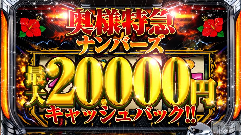 新潟デリヘル(オクサマトッキュウニイガタテン)の2026年2月11日お店速報「復活！☆奥様特急ナンバーズ☆」