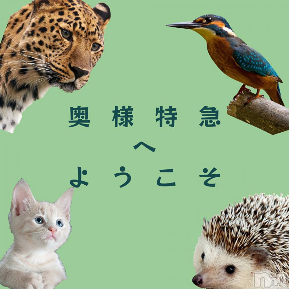 新潟デリヘル(オクサマトッキュウニイガタテン)の2024年9月3日お店速報「9月3日 08時45分のお店速報」