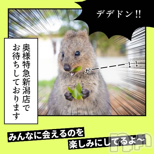 新潟デリヘル(オクサマトッキュウニイガタテン)の2024年9月7日お店速報「9月7日 08時57分のお店速報」