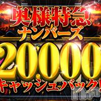 新潟デリヘル 奥様特急 新潟店(オクサマトッキュウニイガタテン)の2月11日お店速報「復活！☆奥様特急ナンバーズ☆」