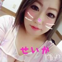 新潟デリヘル 奥様特急 新潟店(オクサマトッキュウニイガタテン)の5月21日お店速報「新サービス始めます！」