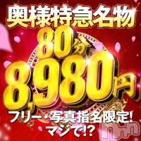 新潟デリヘル 奥様特急 新潟店(オクサマトッキュウニイガタテン)の4月1日お店速報「4月も★コスパ最強宣言★」