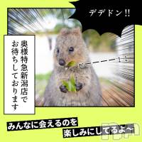新潟デリヘル 奥様特急 新潟店(オクサマトッキュウニイガタテン)の9月7日お店速報「9月7日 08時57分のお店速報」