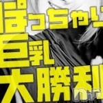 奥様特急 新潟店 フォトギャラリー画像5