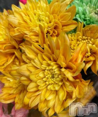 新潟デリヘル 奥様特急 新潟店(オクサマトッキュウニイガタテン) じゅんな(34)の11月21日写メブログ「真面目に」