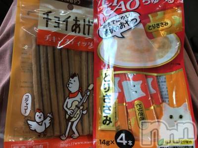 新潟デリヘル 奥様特急 新潟店(オクサマトッキュウニイガタテン) せいな(37)の8月3日写メブログ「朝イチ午前中に♪(´ε｀&nbsp;)」