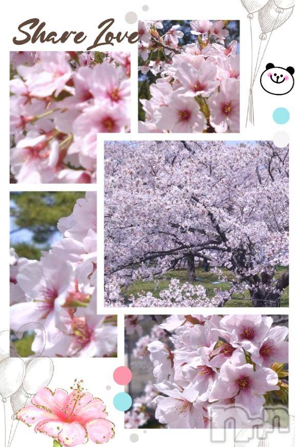 新潟デリヘル奥様特急 新潟店(オクサマトッキュウニイガタテン)ひかる(36)の2026年4月22日写メブログ「ぐわぁ～」