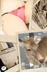 新潟デリヘル奥様特急 新潟店(オクサマトッキュウニイガタテン) ひかる(36)の10月21日写メブログ「しか～」