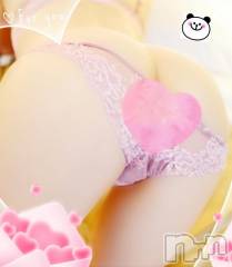 新潟デリヘル奥様特急 新潟店(オクサマトッキュウニイガタテン) ひかる(36)の4月8日写メブログ「ずこ～」