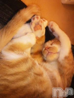 新潟デリヘル 奥様特急 新潟店(オクサマトッキュウニイガタテン) かおる(48)の12月21日写メブログ「(^・^)こんばんは～」