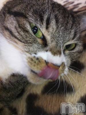 新潟デリヘル 奥様特急 新潟店(オクサマトッキュウニイガタテン) かおる(48)の2月16日写メブログ「(^・^)おはよーございます」