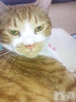 新潟デリヘル 奥様特急 新潟店(オクサマトッキュウニイガタテン) かおる(48)の4月22日写メブログ「どや顔(=^ェ
 ^=)」