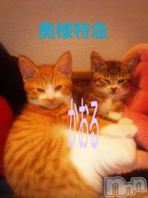 新潟デリヘル 奥様特急 新潟店(オクサマトッキュウニイガタテン) かおる(48)の11月25日写メブログ「お早うございます。」