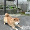 新潟デリヘル 奥様特急 新潟店(オクサマトッキュウニイガタテン) らら(38)の3月1日写メブログ「こんにちは」