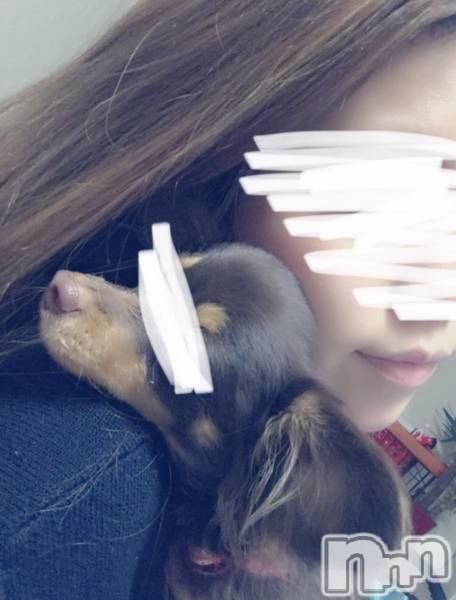 ȯѥ˥󥯥ֿ㥳ѥ˥󥯥Leger-쥸-(쥸)  2017ǯ930̥֥֥ʥȥʥӸΰ♡♡♡