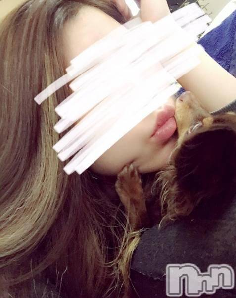 ȯѥ˥󥯥ֿ㥳ѥ˥󥯥Leger-쥸-(쥸)  2017ǯ115̥֥֤ܤΤͽ( `)y~~